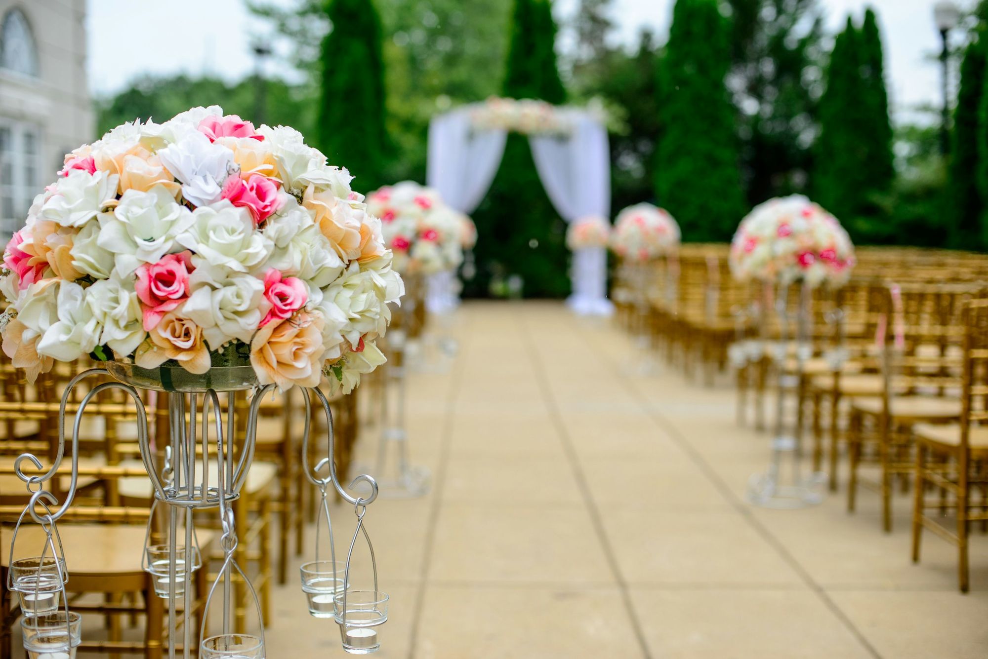 The Lawn: an aisle of golden chairs and rose arrangements leading to a white arch